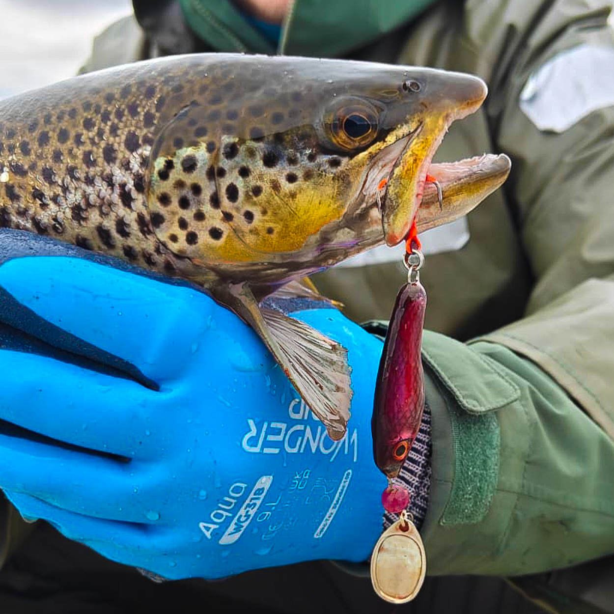 Lures for Brown Trout